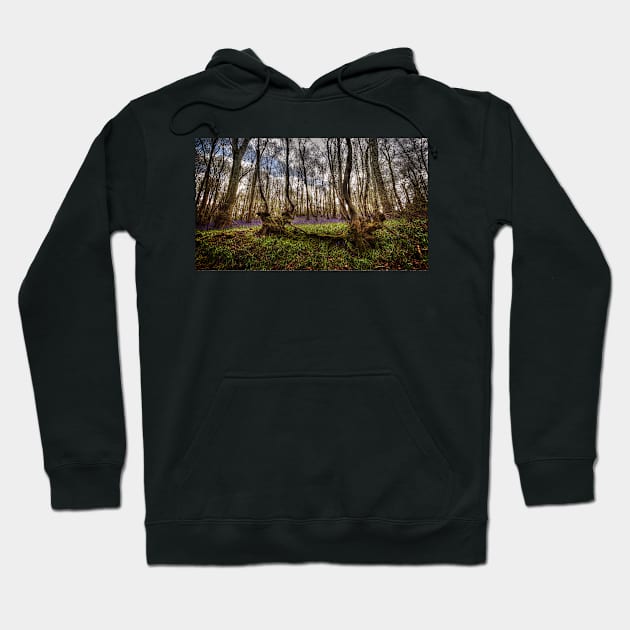 Bluebell Wood Hoodie by Nigdaw